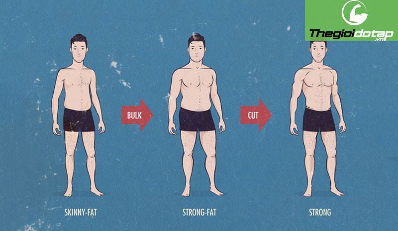 Slim Fat là gì? Khái niệm, Nguyên nhân và Giải pháp cho tạng người Skinny Fat